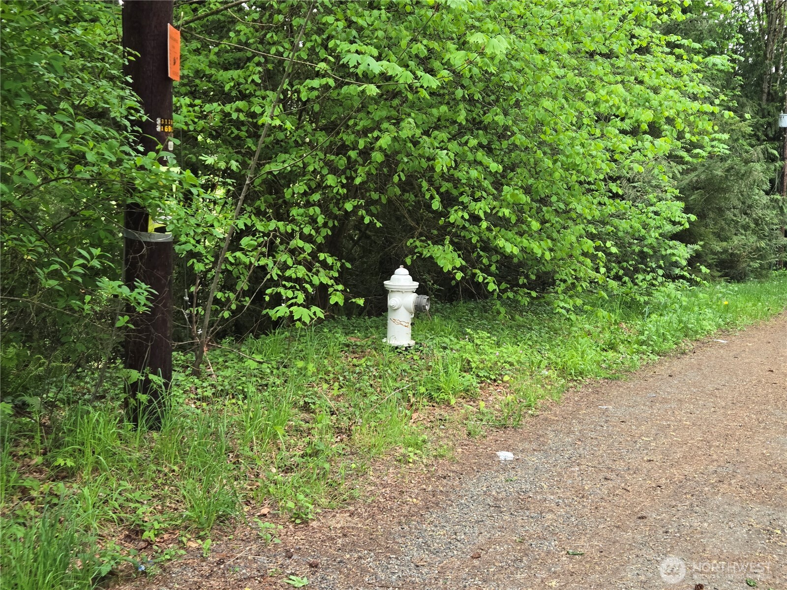 160-xx 193rd Avenue Southeast Renton, WA 98058 - Photo 4 of 29