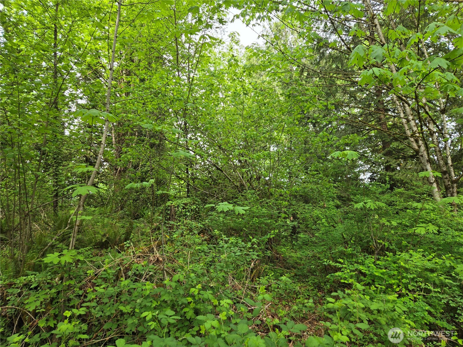 160-xx 193rd Avenue Southeast Renton, WA 98058 - Photo 8 of 29