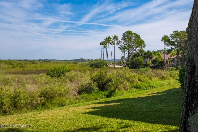 a view of a swimming pool with a lounge chair and palm trees