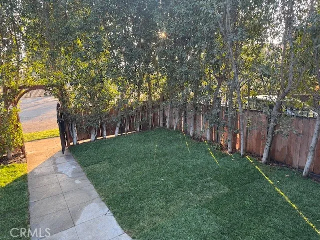 a view of a yard with plants and large trees