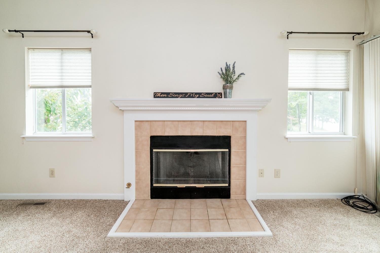 466 Oak Point Road Forest, VA 24551 - Photo 3 of 33 Gallery Image 3