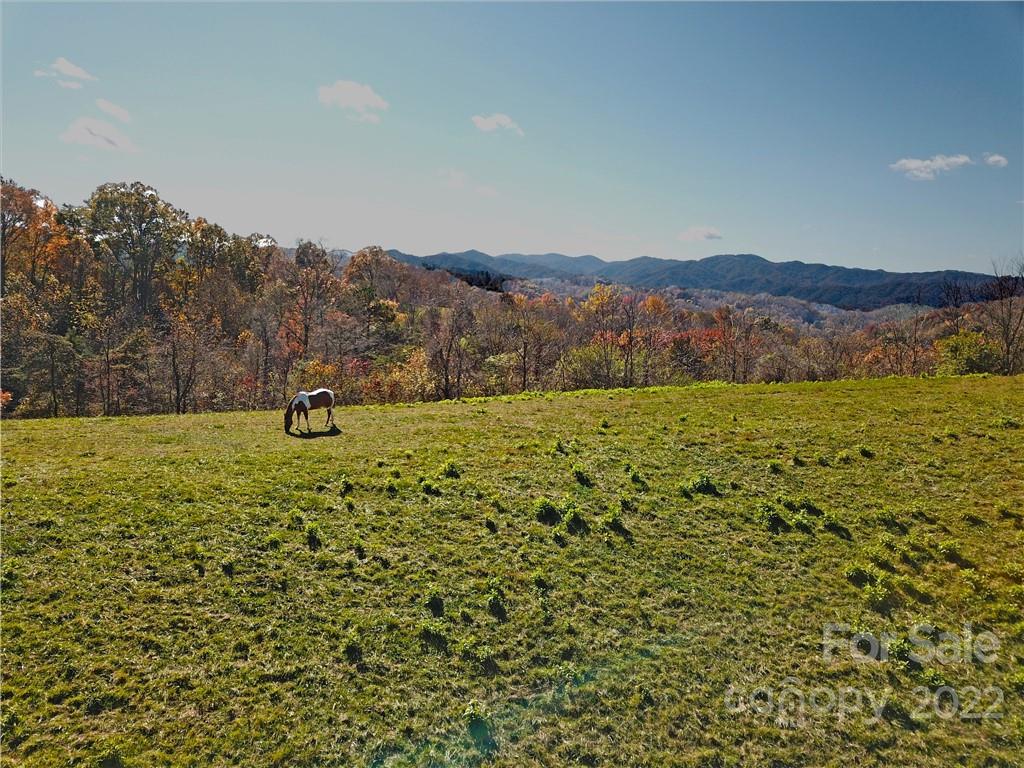 Tbd Coates Road Marshall, NC 28753 - Photo 1 of 20 Gallery Image 1