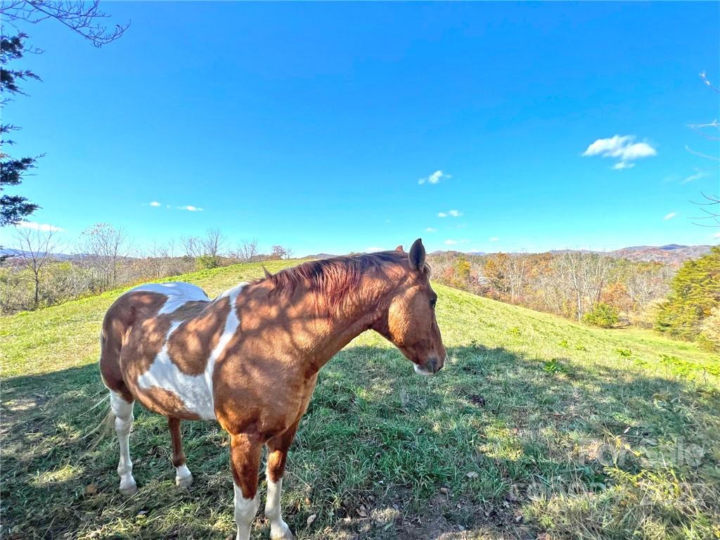 Tbd Coates Road Marshall, NC 28753 - Photo 13 of 20 Gallery Image 13