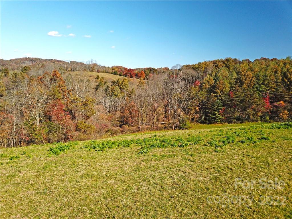 Tbd Coates Road Marshall, NC 28753 - Photo 18 of 20 Gallery Image 18