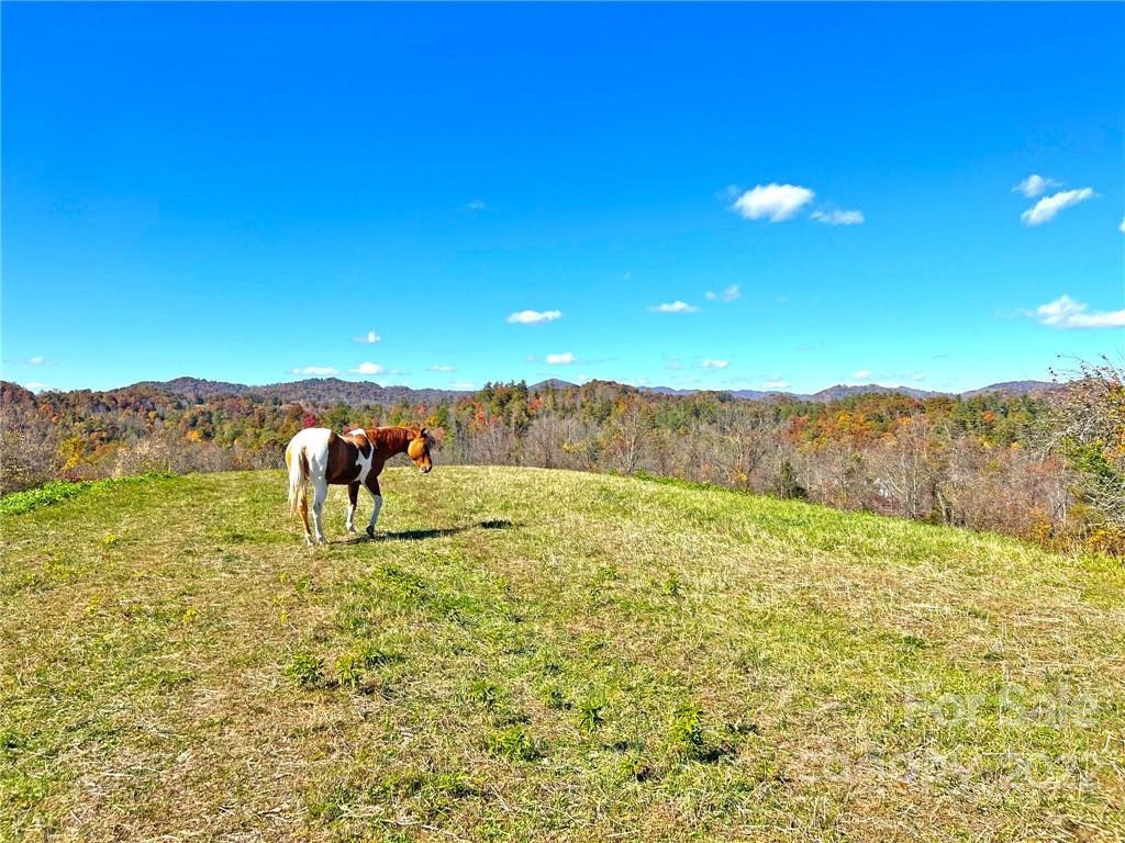Tbd Coates Road Marshall, NC 28753 - Photo 2 of 20 Gallery Image 2