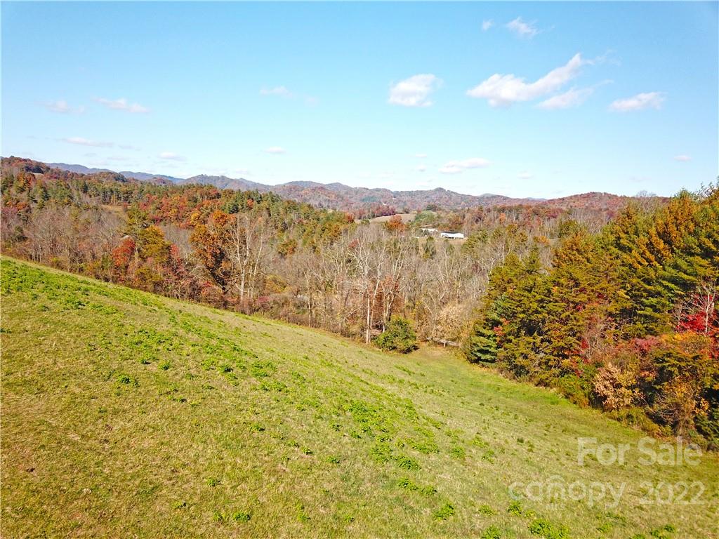 Tbd Coates Road Marshall, NC 28753 - Photo 8 of 20 Gallery Image 8