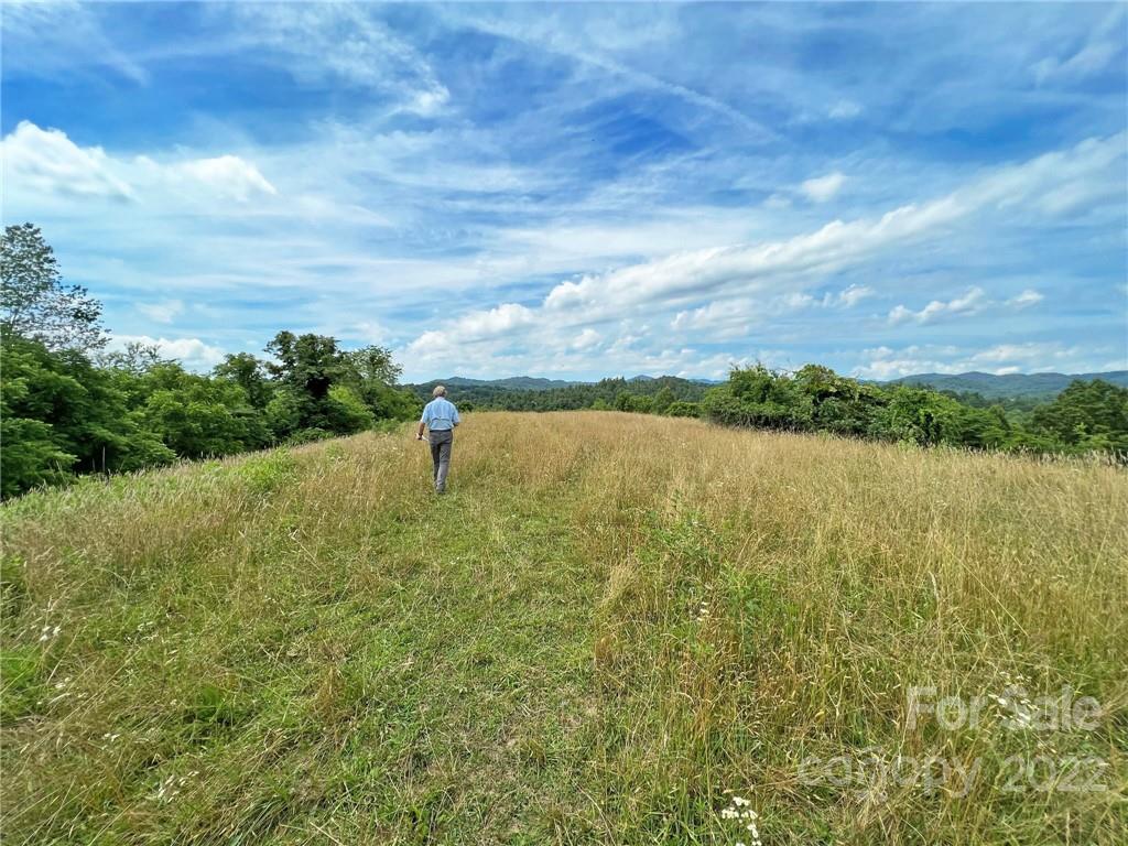 Tbd Coates Road Marshall, NC 28753 - Photo 10 of 20 Gallery Image 10