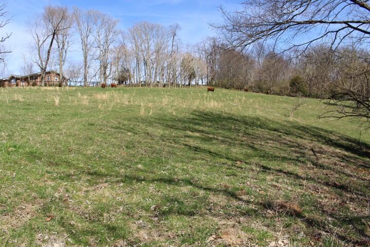 84 Wells Landing Road Danville, KY 40422 - Photo 21 of 25 IMG_0687 (Small)