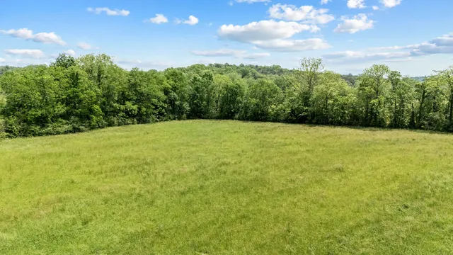 a view of a big yard with large tree