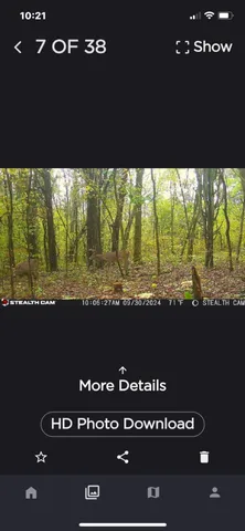 a view of an ocean and a yard