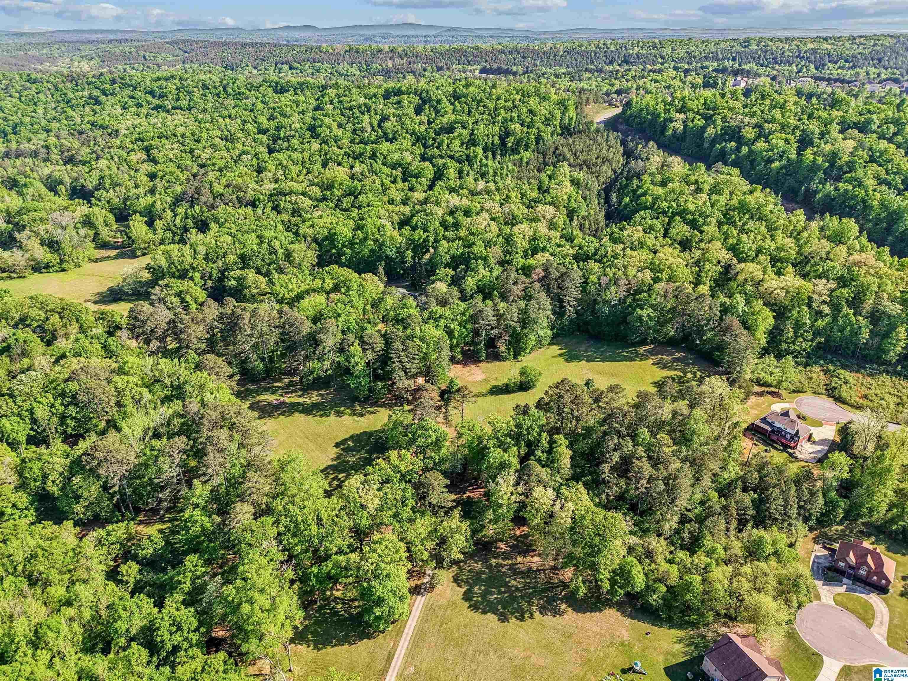 1680 Highway 174 Springville, AL 35146 - Photo 25 of 97