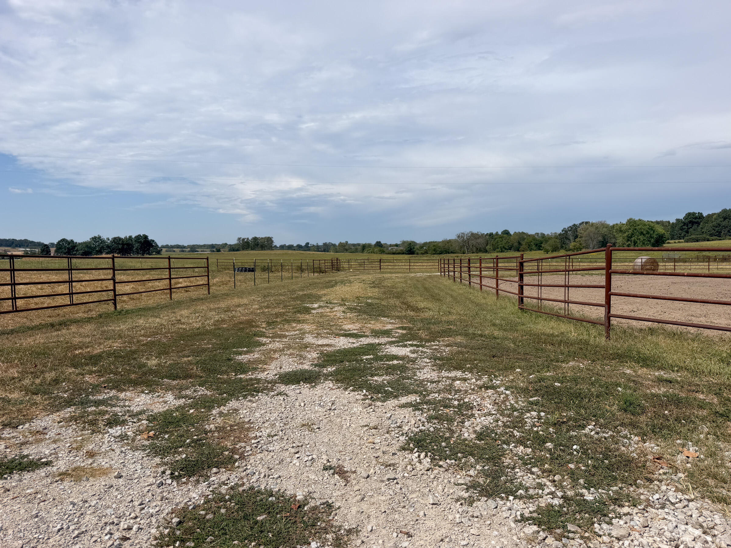 1869 Wall Road Mountain Grove, MO 65711 - Photo 58 of 63 IMG_9082