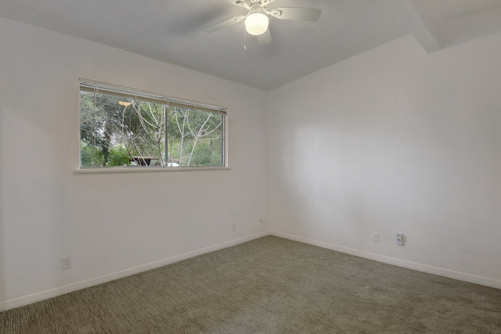 803 Azie Morton Road, Unit A Austin, TX 78704 - Photo 19 of 21
