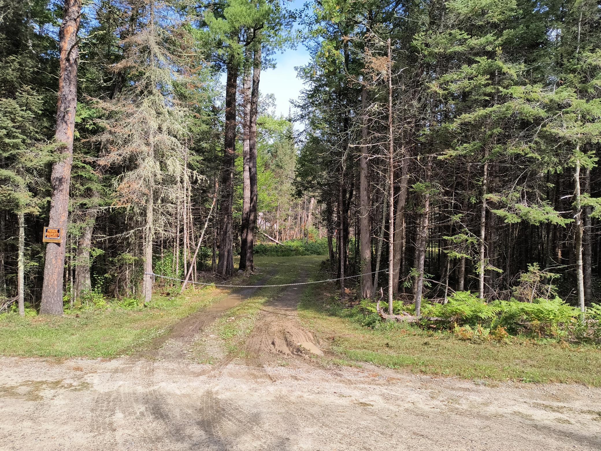 24.84-acre Bessette Road Orr, MN 55771 - Photo 1 of 1 Gallery Image 1
