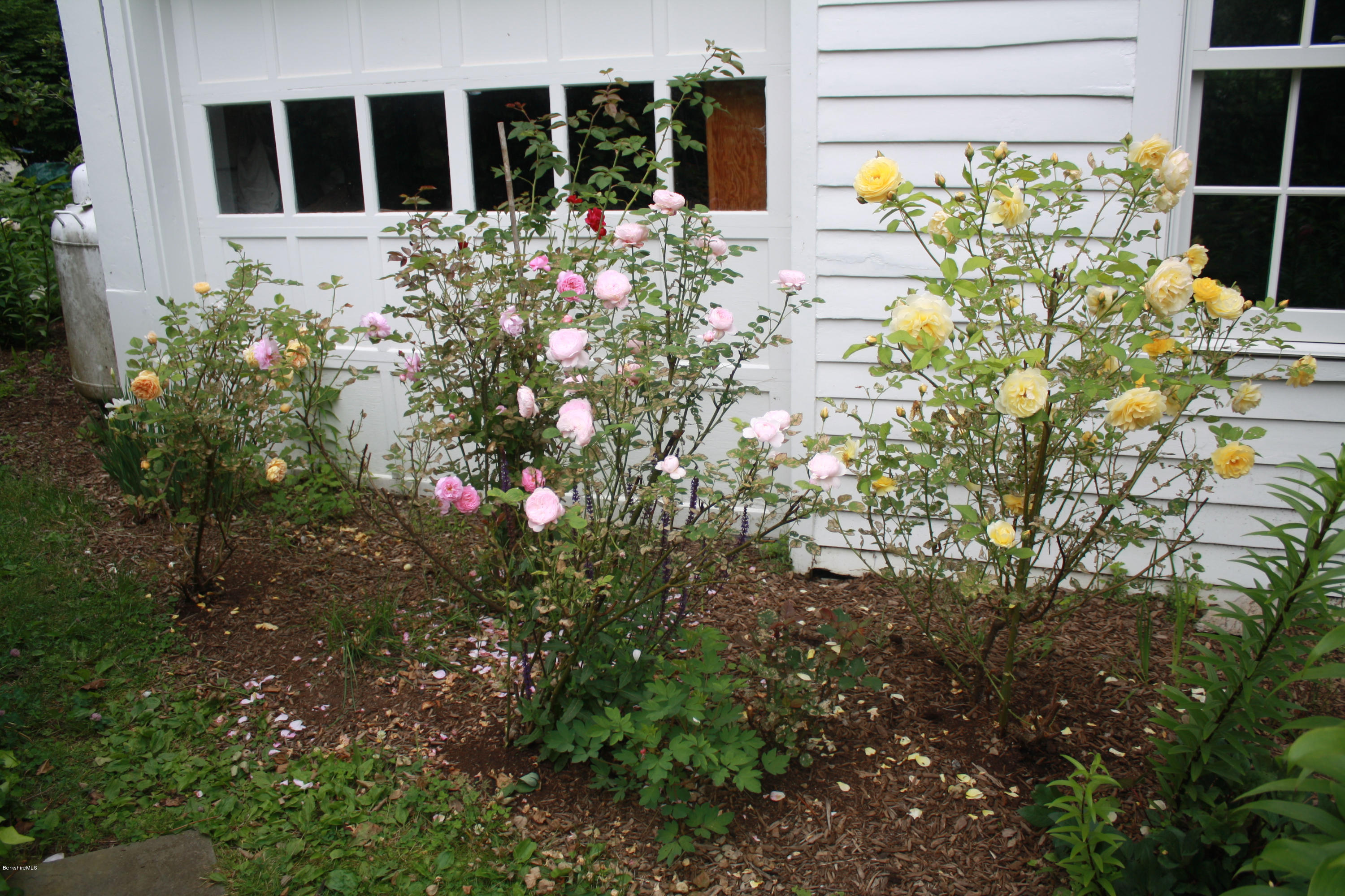 14 Sheffield Road Egremont, MA 01230 - Photo 42 of 51 IMG_7828