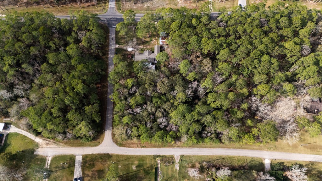 0 County Road 427 Loop Dayton, TX 77535 - Photo 6 of 19