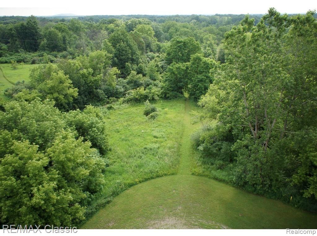 0 Thomas Lee Road South Lyon, MI 48178 - Photo 1 of 8