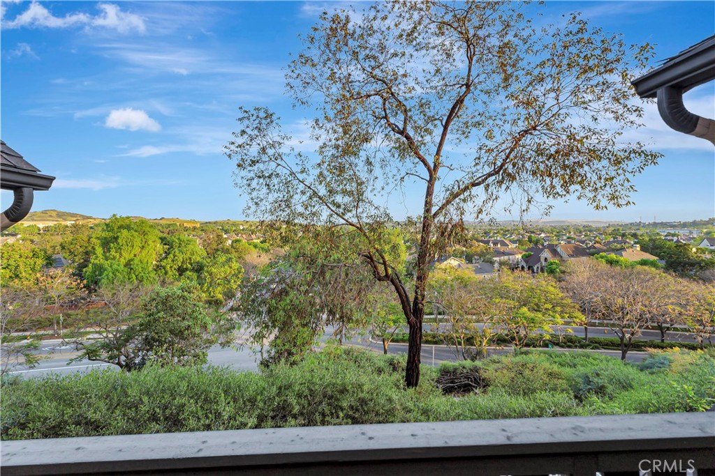 40 Three Vines Court Ladera Ranch, CA 92694 - Photo 11 of 28 a view of a yard with an trees
