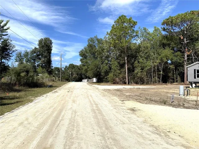 a view of a yard with trees