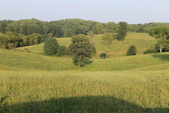 100 Concord & Burris Road Carlisle, KY 40311 - Photo 6 of 9 Photo 6