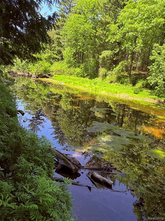 2620 Weaver Road Port Austin, MI 48467 - Photo 5 of 11