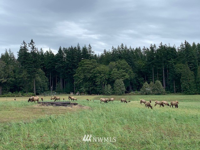 1130 Elk Loop Sequim, WA 98382 - Photo 14 of 15