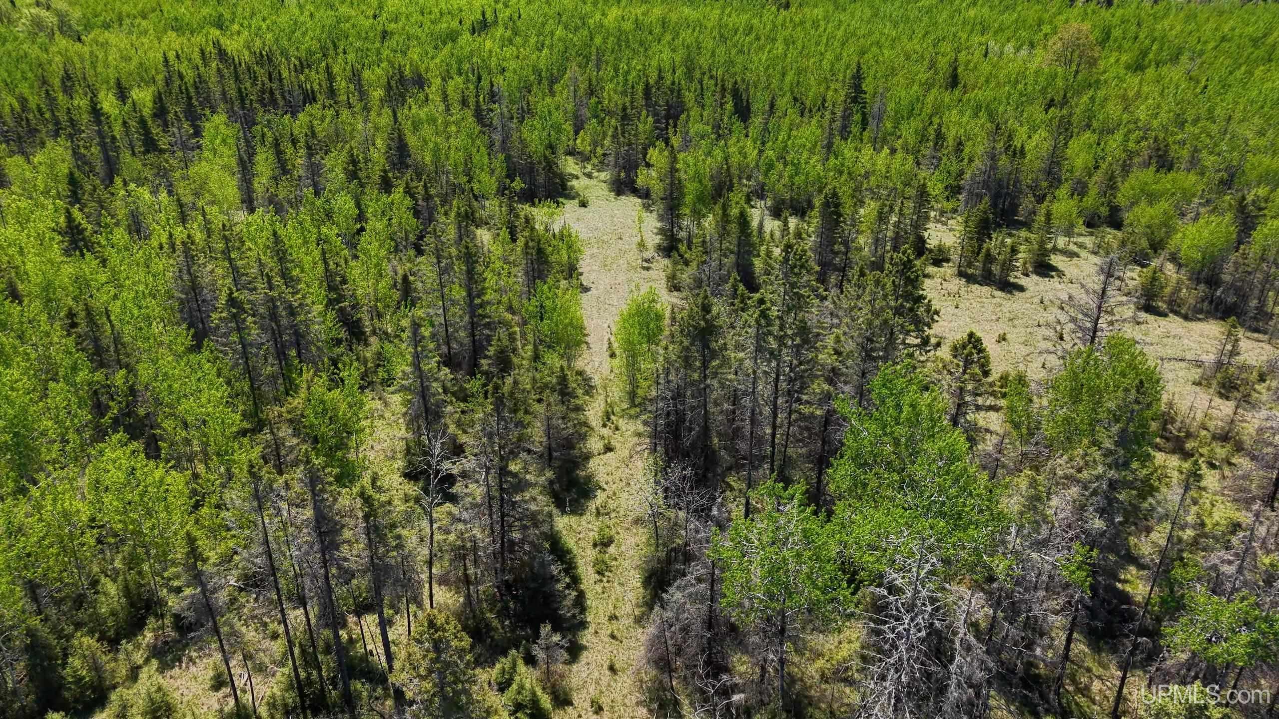 Tbd Co Rd 511 / Y5 Road, Unit STONINGTON Rapid River, MI 49878 - Photo 17 of 21