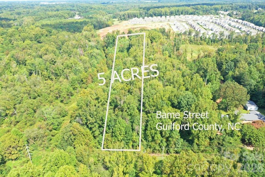 8774 Bame Road Colfax, NC 27235 - Photo 1 of 16