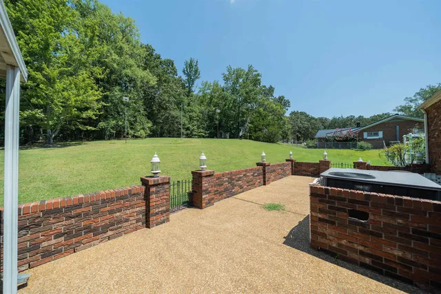 a view of a park with large trees