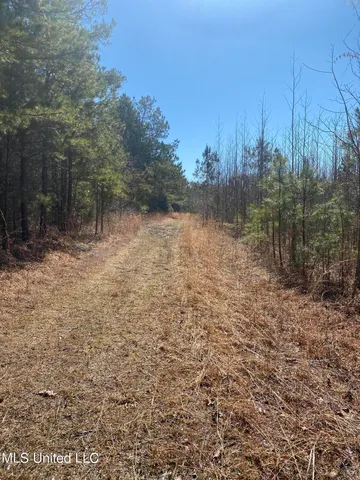 $190,000 | 700 Co Road, Ripley, MS 38663