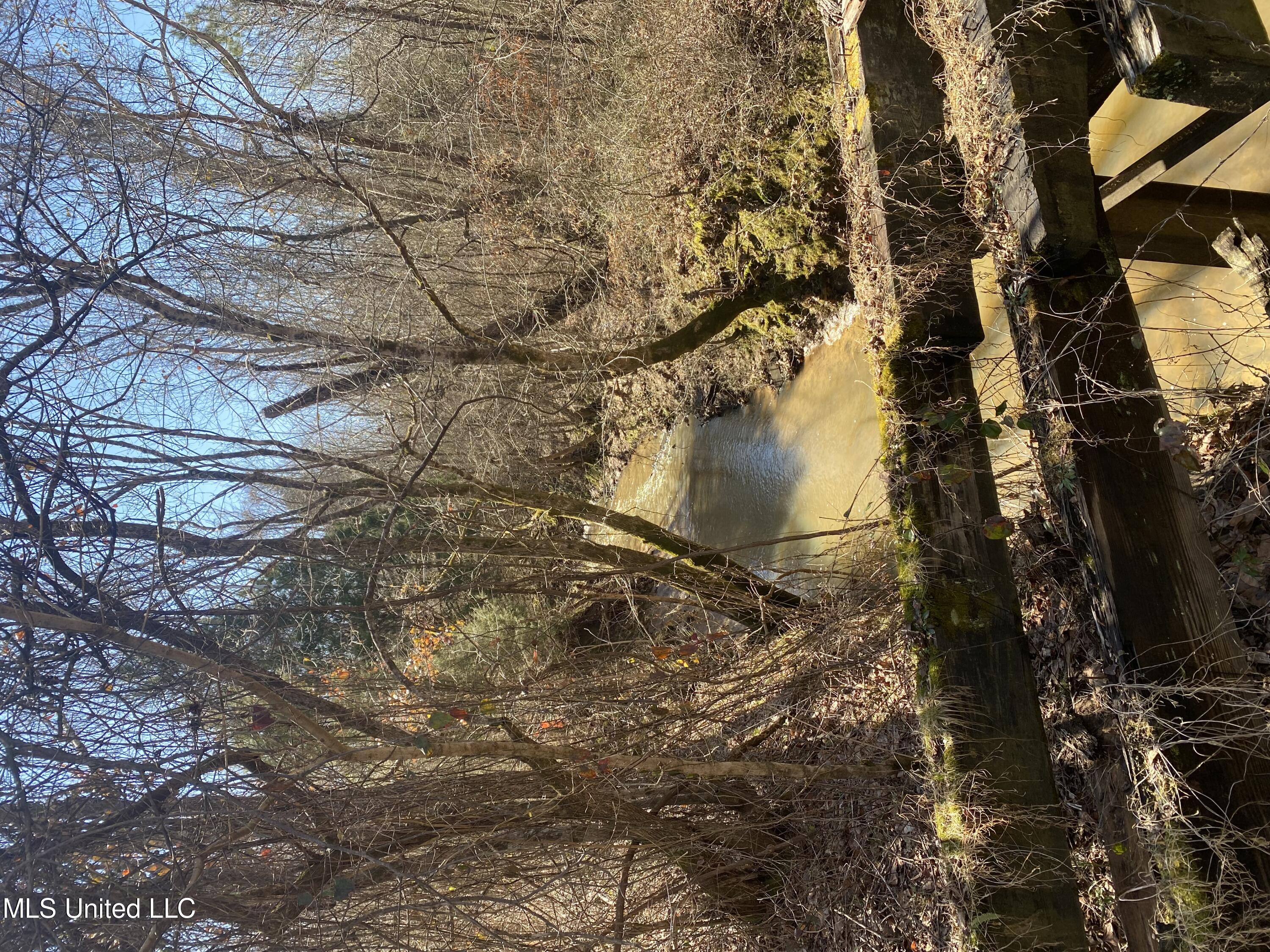 700 Co Road Ripley, MS 38663 - Photo 2 of 4 Lot