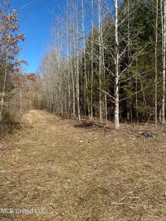 $190,000 | 700 Co Road, Ripley, MS 38663