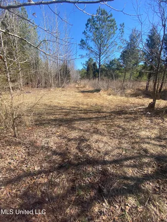$190,000 | 700 Co Road, Ripley, MS 38663