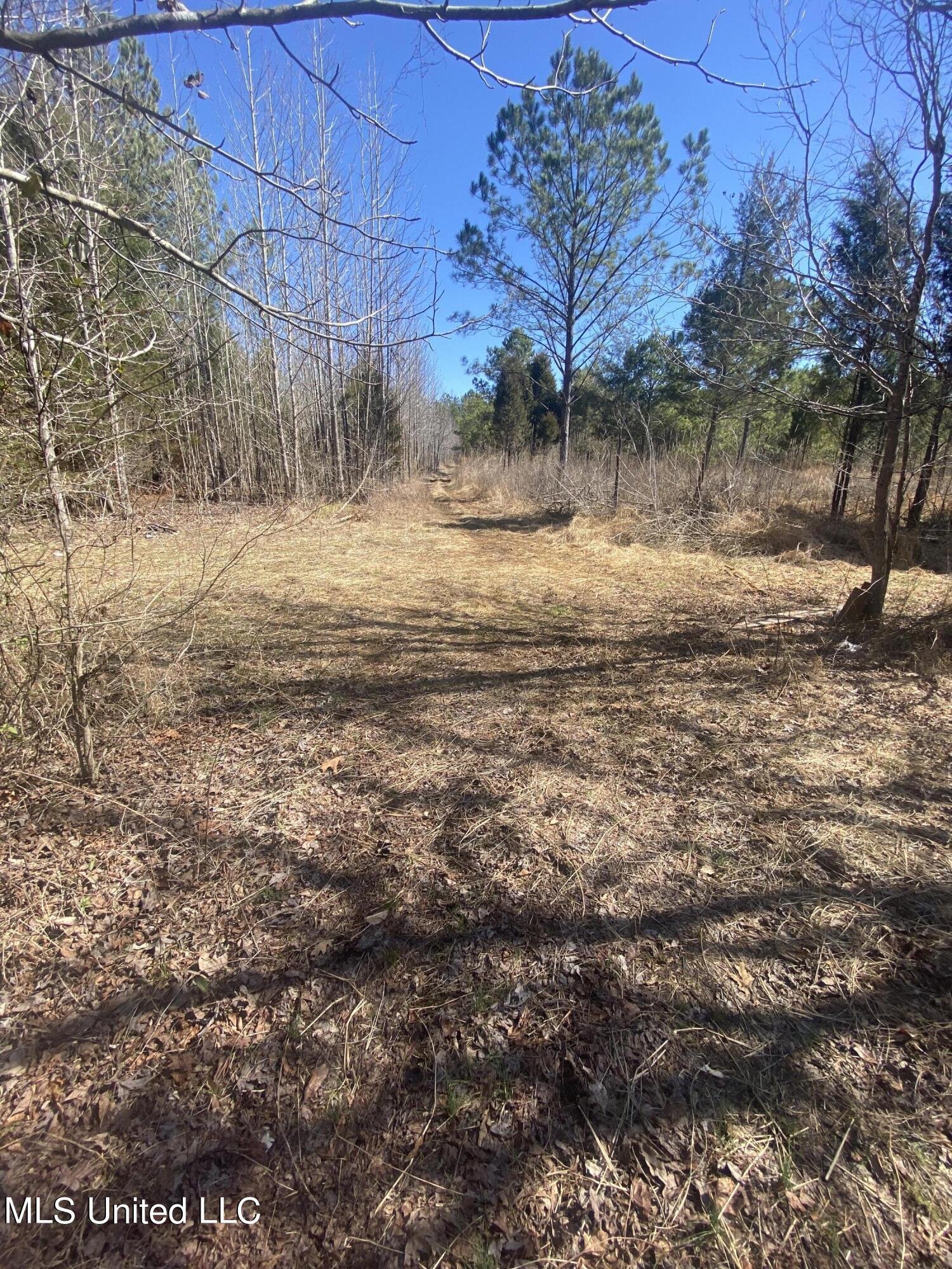 700 Co Road Ripley, MS 38663 - Photo 4 of 4 IMG_5988