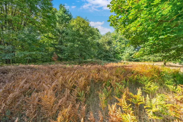 $26,000 | Lot 6 University Club Drive, Big Rapids, MI 49307