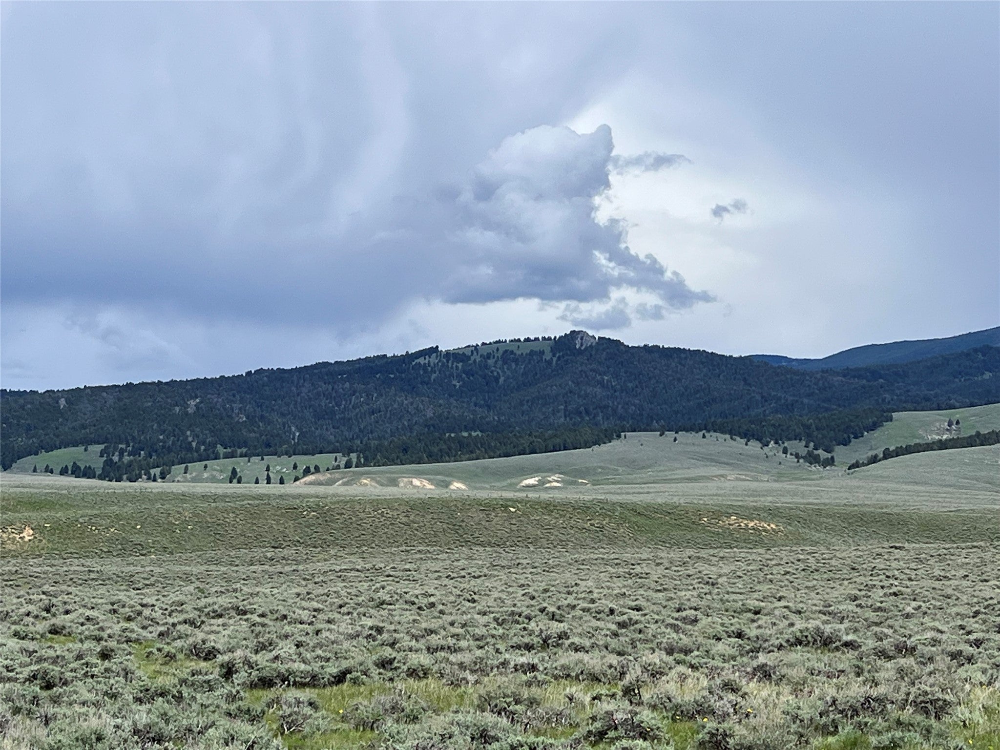10 Steel Creek Road Wisdom, MT 59761 - Photo 7 of 8 Gallery Image 7