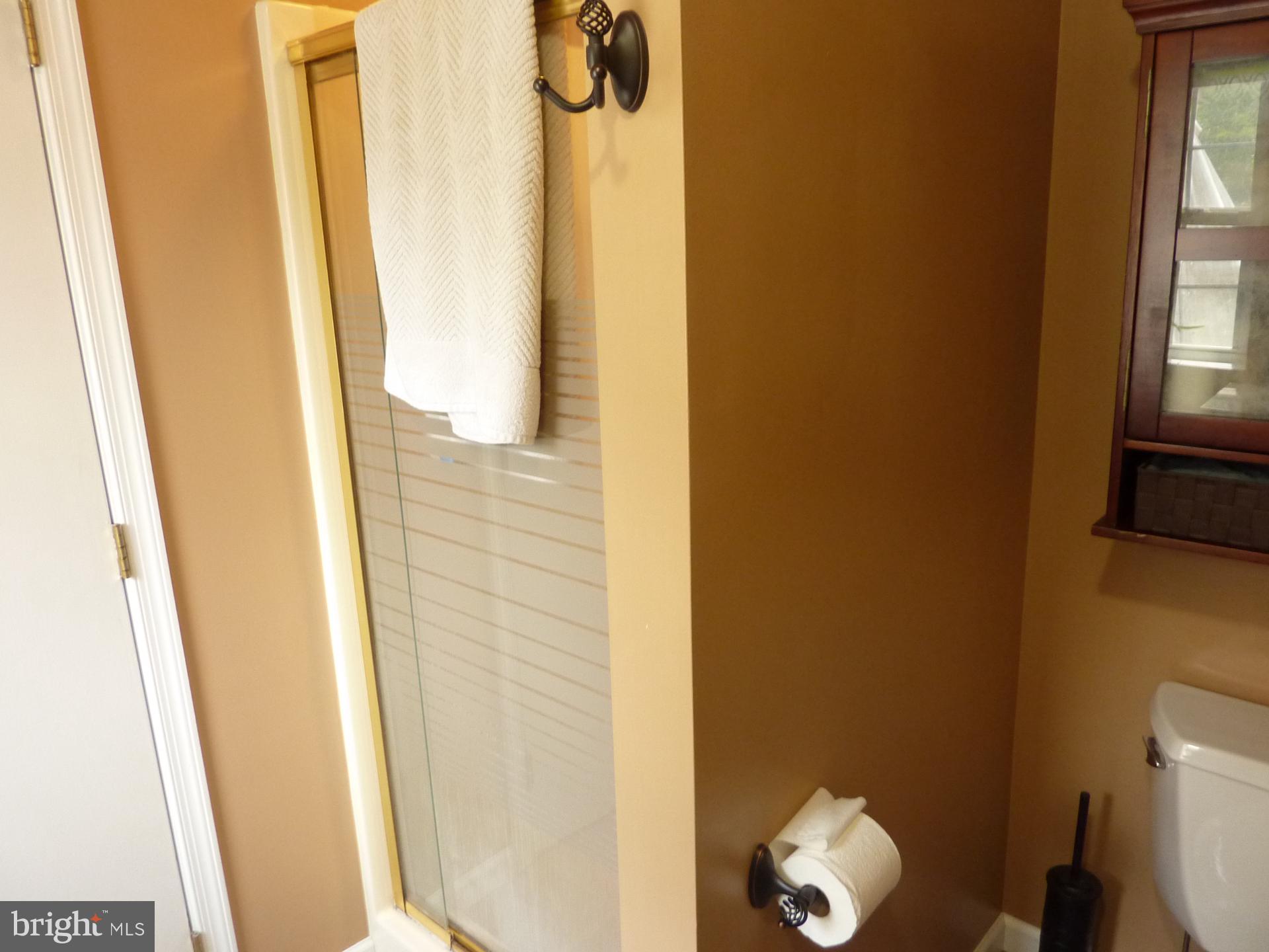981 Buck Road Quarryville, PA 17566 - Photo 36 of 45 Lower Level Full Bath