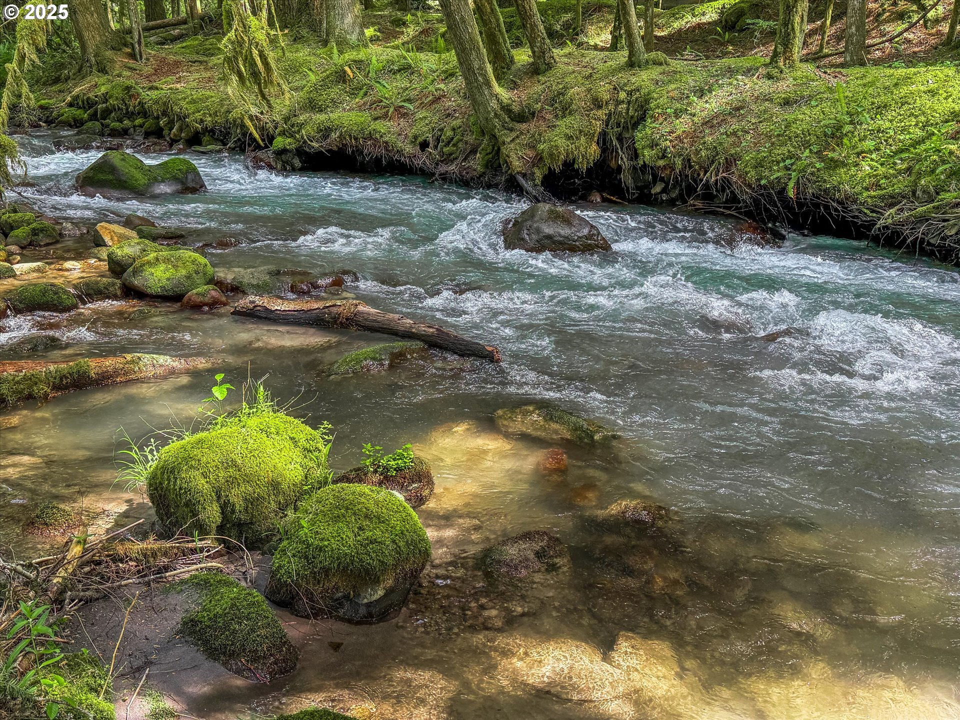 75125 Mt Hood Highway Rhododendron, OR 97049 - Photo 12 of 43 a view of a lake with a yard