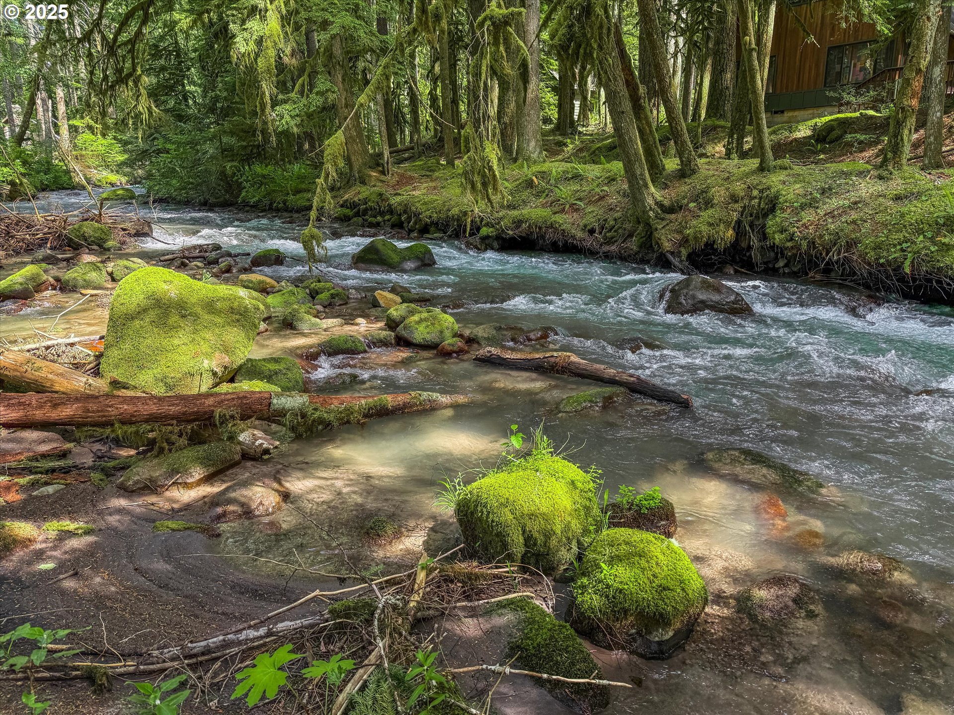 75125 Mt Hood Highway Rhododendron, OR 97049 - Photo 38 of 43 a backyard of a house with lots of green space