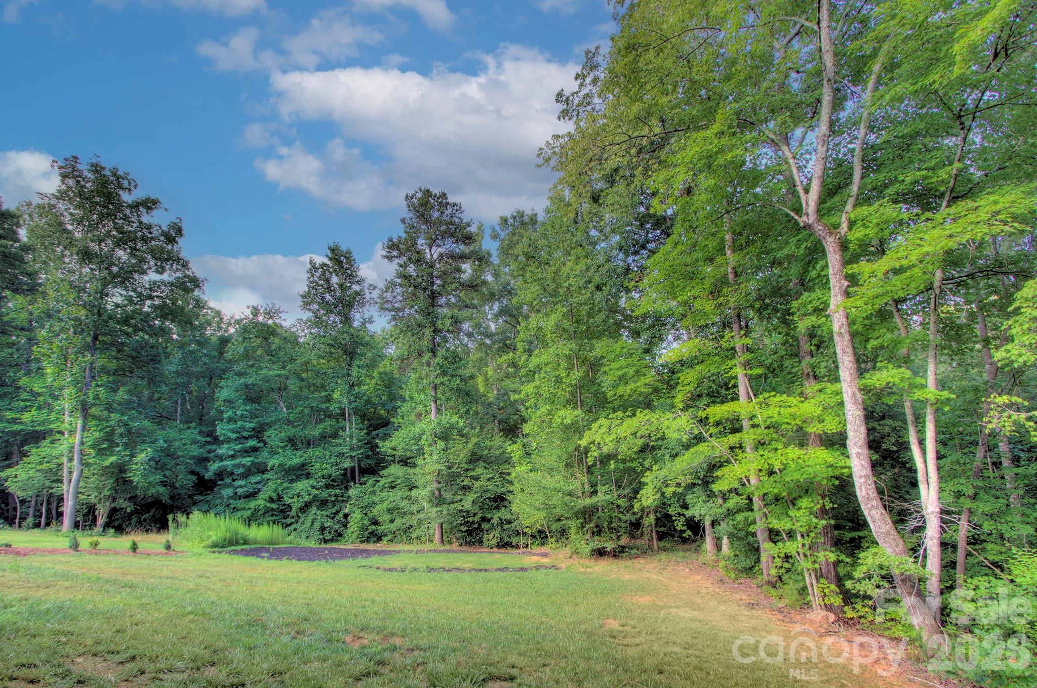 6672 Maple Spring Court Denver, NC 28037 - Photo 35 of 37