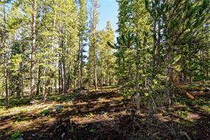 665 Miners View Road Breckenridge, CO 80424 - Photo 11 of 13 a view of tree