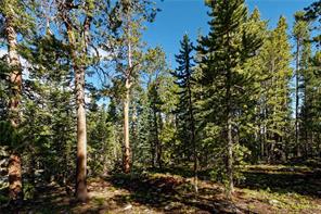 665 Miners View Road Breckenridge, CO 80424 - Photo 12 of 13