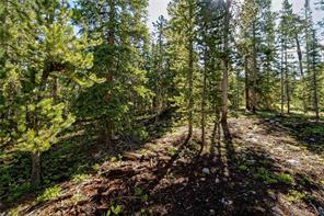 665 Miners View Road Breckenridge, CO 80424 - Photo 13 of 13 a view of a yard