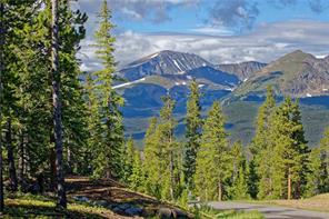 665 Miners View Road Breckenridge, CO 80424 - Photo 3 of 13 a view of a yard