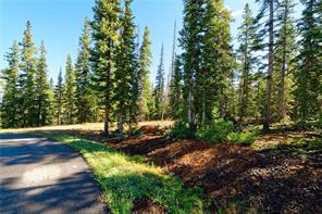 665 Miners View Road Breckenridge, CO 80424 - Photo 7 of 13 a view of an outdoor space with a lake view