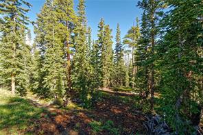 665 Miners View Road Breckenridge, CO 80424 - Photo 8 of 13 a view of outdoor space and trees