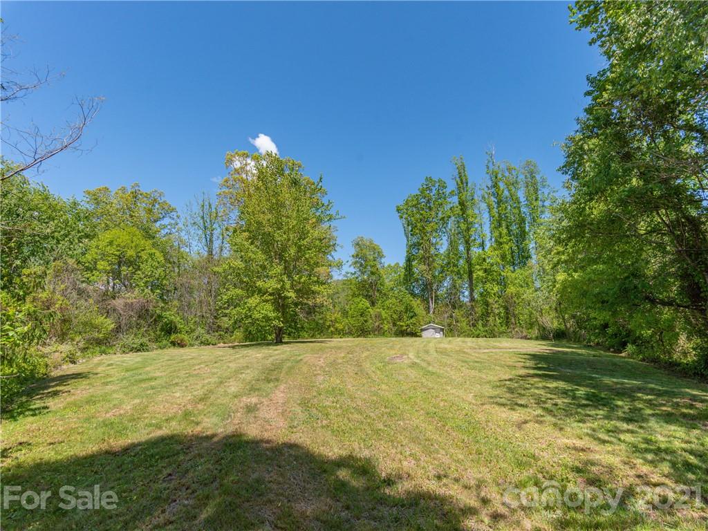 35 Rhea Park Ridge Canton, NC 28716 - Photo 3 of 11 a view of a yard with an trees