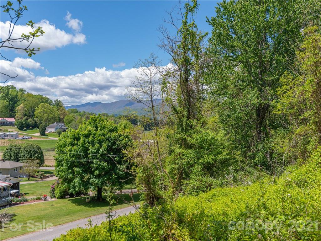 35 Rhea Park Ridge Canton, NC 28716 - Photo 4 of 11 a view of a garden with a fountain