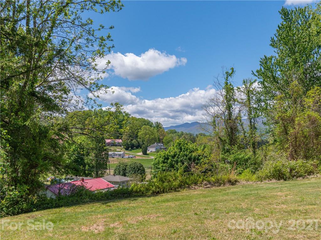 35 Rhea Park Ridge Canton, NC 28716 - Photo 8 of 11