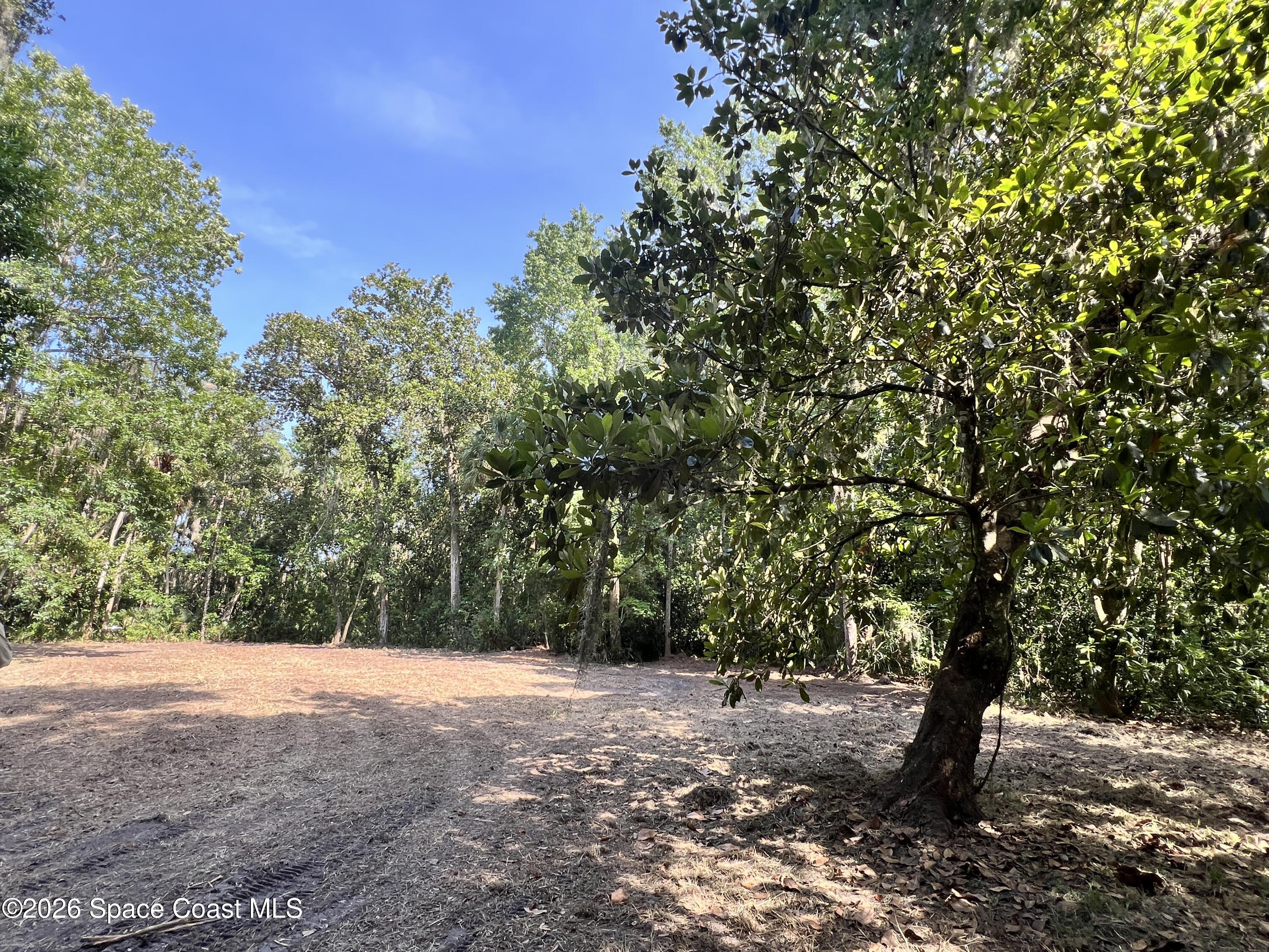 0 Carter Road Mims, FL 32754 - Photo 3 of 25 IMG_5394